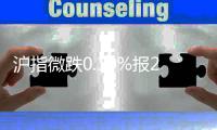 滬指微跌0.10%報(bào)2375點(diǎn)