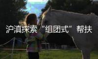 滬滇探索“組團式”幫扶助力鄉村振興