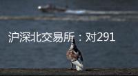 滬深北交易所：對291起違法違規行為采取監管措施，強化'強本強基'目標