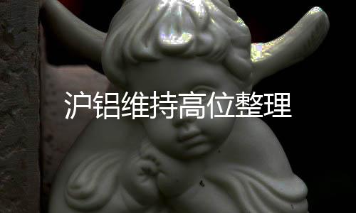 滬鋁維持高位整理