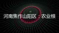河南焦作山陽區：農業根基穩   豐收底氣足