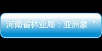 河南省林業局：亞洲象“莫莉”已送往昆明動物園