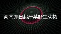 河南即日起嚴禁野生動物交易！可撥12315舉報