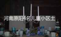 河南原陽4名兒童小區(qū)土方內(nèi)死亡 項(xiàng)目責(zé)任人已被控制