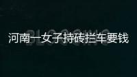 河南一女子持磚攔車要錢 打劫母子兵一言不合就脫衣