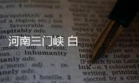 河南三門峽 白天鵝旅游季火爆 迎來客流小高峰