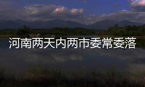 河南兩天內(nèi)兩市委常委落馬 反腐風(fēng)暴持續(xù)
