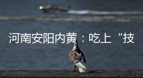 河南安陽內黃：吃上“技能飯” 端穩“就業碗”