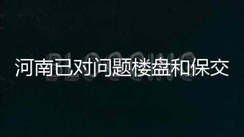 河南已對問題樓盤和保交樓項目批復262億元配套融資