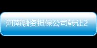河南融資擔保公司轉讓2020年