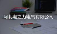 河北電之力電氣有限公司榮獲“電能計量箱十大品牌”榮譽稱號