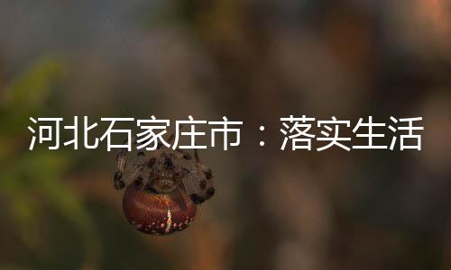 河北石家莊市：落實生活必需品保供穩(wěn)價