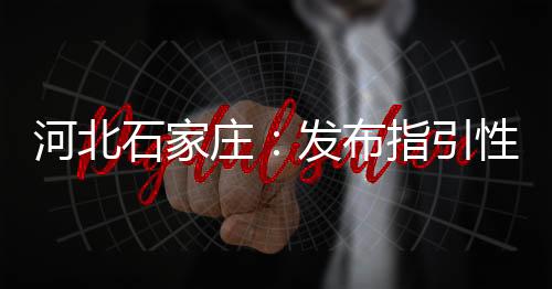 河北石家莊：發布指引性文件 規范網絡直播營銷