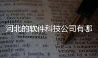 河北的軟件科技公司有哪些和河北的軟件科技公司的情況說明