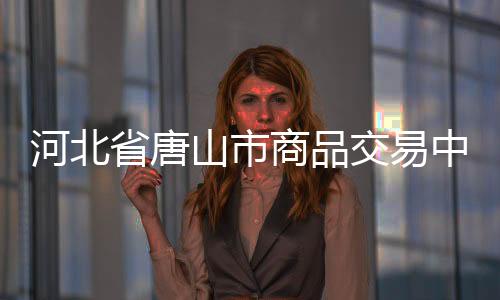 河北省唐山市商品交易中心轉讓辦理的條件