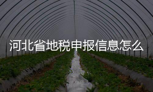 河北省地稅申報信息怎么查詢（河北地稅網上申報系統）
