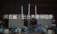 河北省：出臺養老保險新政策