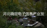 河北確定電子信息產業發展目標