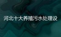 河北十大養(yǎng)殖污水處理設(shè)備廠家大全介紹