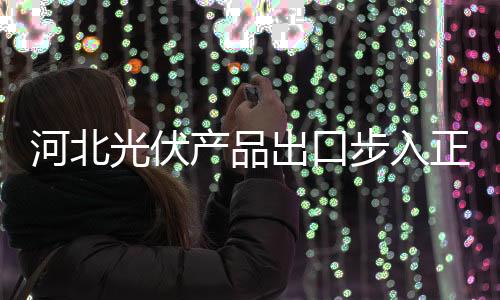 河北光伏產品出口步入正增長