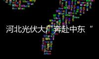 河北光伏大廠奔赴中東“沙漠”挖掘新市場,行業資訊