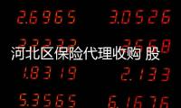 河北區保險代理收購 股東結構