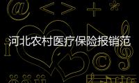 河北農村醫療保險報銷范圍是多少
