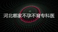 河北哪家不孕不育專科醫(yī)院最好