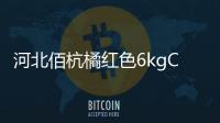 河北佰杭橘紅色6kgCPVC電力管彎頭