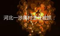 河北一涉黑村主任被抓：身家4億，曾指示手下打斷仇人的腿