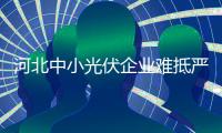 河北中小光伏企業難抵嚴寒紛紛退場,行業資訊