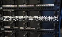 河北永強天車電纜的種類