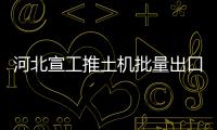 河北宣工推土機批量出口海外市場