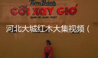 河北大城紅木大集視頻（河北大城紅木大集）