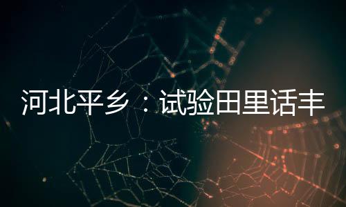 河北平鄉：試驗田里話豐收