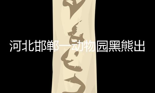 河北邯鄲一動物園黑熊出逃后被安全找回