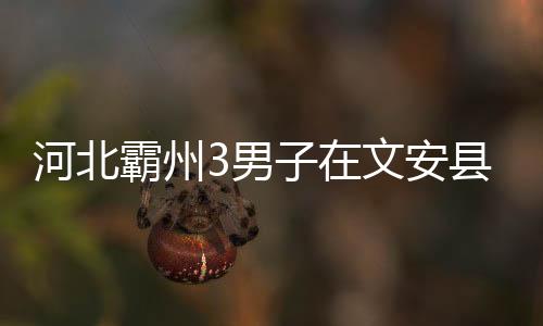 河北霸州3男子在文安縣捕魚溺亡
