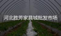 河北勝芳家具城批發市場（河北勝芳）