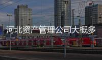 河北資產管理公司大概多少錢