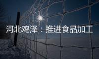 河北雞澤：推進食品加工“個轉企” 激發(fā)民營經(jīng)濟新活力