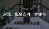 河北：現金支付“零錢包”可即來即兌