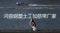 河曲鋼塑土工加筋帶廠家