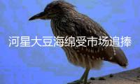 河星大豆海綿受市場追捧