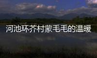 河池環芥村蒙毛毛的溫暖故事