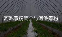 河池煮粉簡介與河池煮粉特色的原因