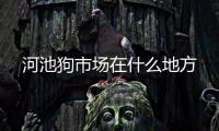河池狗市場在什么地方