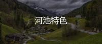 河池特色