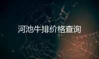 河池牛排價格查詢