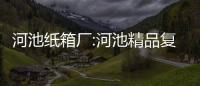河池紙箱廠:河池精品復合包裝材料