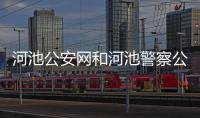 河池公安網(wǎng)和河池警察公眾號(hào)的情況說(shuō)明